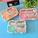 BENTO LUNCH BOX – 4 Compartment Lunch Box Stainless Steel Tiffin Box for Boys, Girls, School